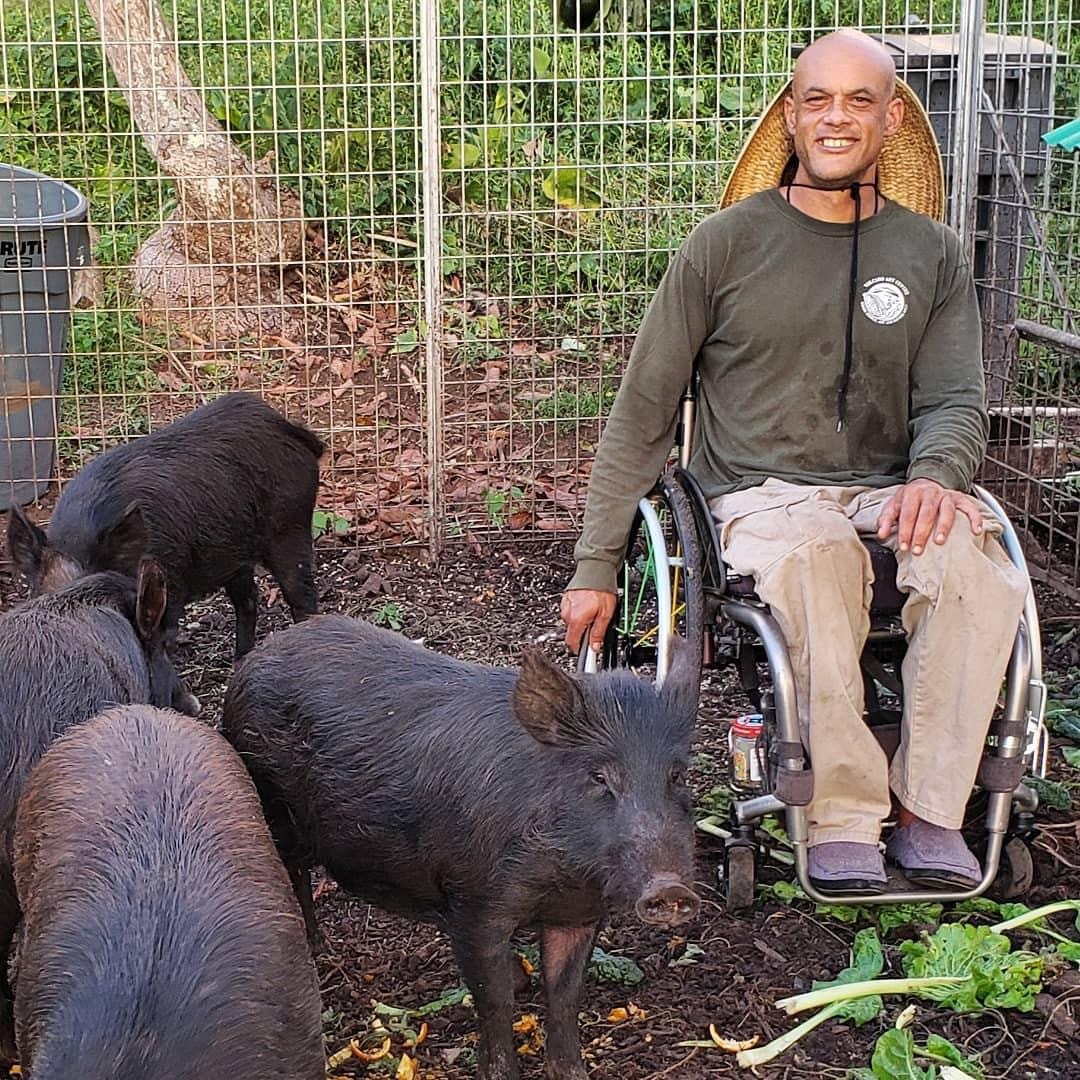 Kalim taking care of our herd of puaʻa, Hawaiian pigs.